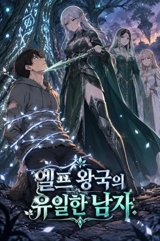 엘프 왕국의 유일한 남자 표지